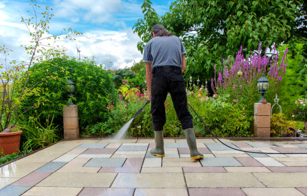 Animal Enclosure Cleaning in Northlake, SC